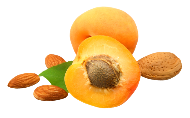 apricot seed