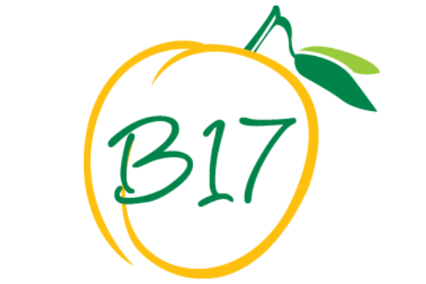 Vitamin B17 Logo